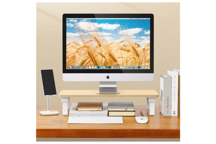 UGREEN LP224 Monitor Stand Riser | 15kg Capacity | Desk Organizer (70586)