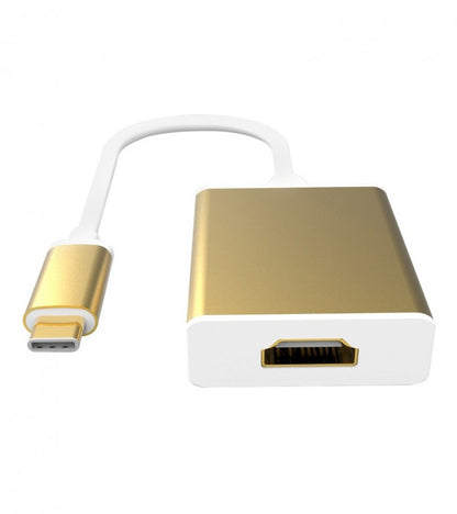Type C 3.1 to HDMI Converter